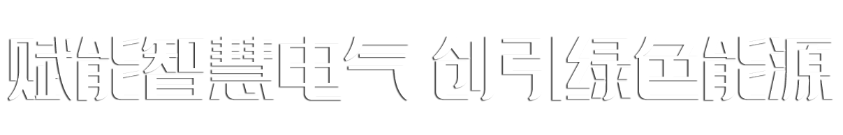 山東魯瑞電力集團有限公司