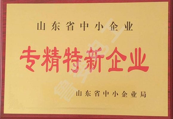 山東省專(zhuān)精特新證書(shū)