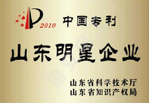 中國專(zhuān)利山東明星企業(yè)